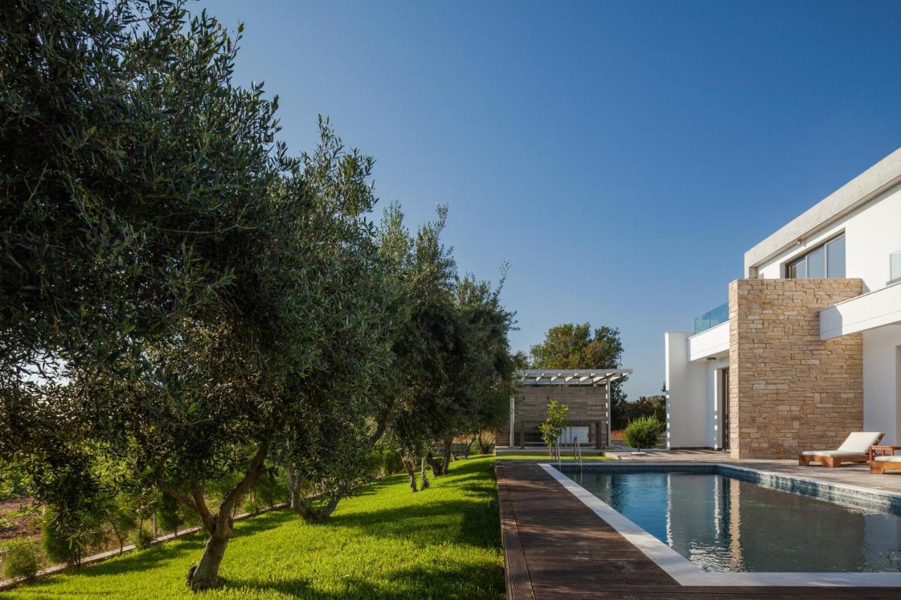 Paphos Olive Grove 4 Bedroom Villa מראה חיצוני תמונה